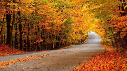 August: Preparing for Autumn